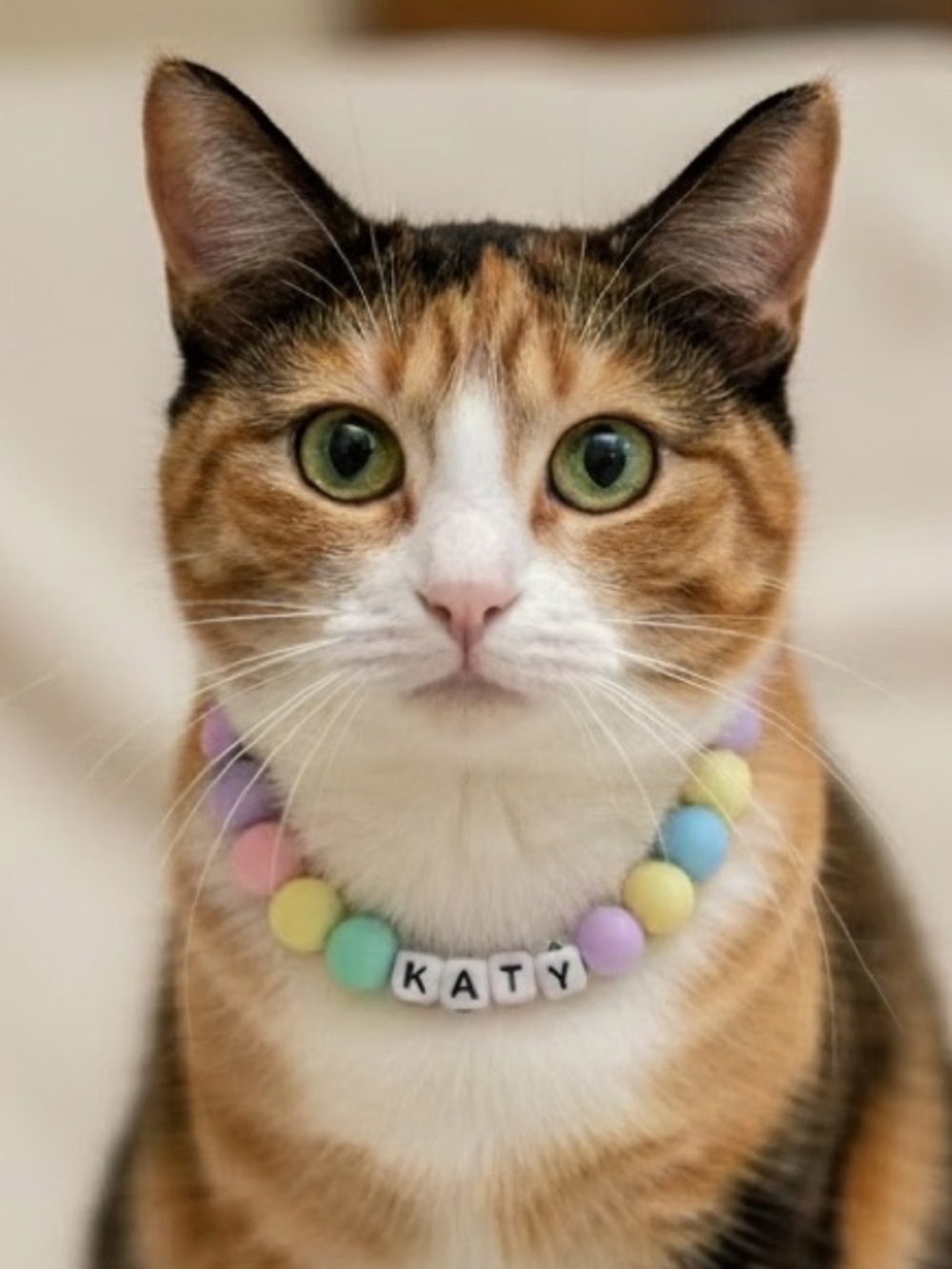 Personalized Pet Bead Necklaces